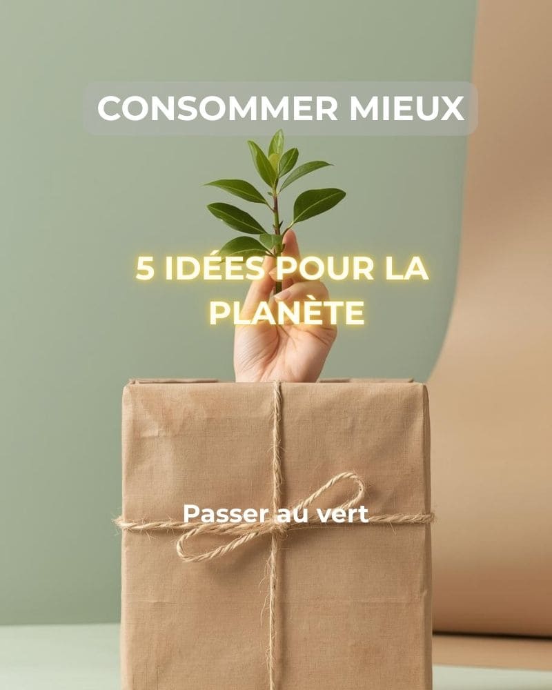 Cadeaux Éco-responsables emballé dans du papier kraft recyclé avec une petite plante verte, illustrant la consommation durable en 2026.