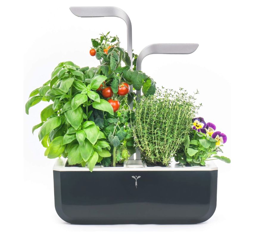 potager interieur, cadeau pour femme