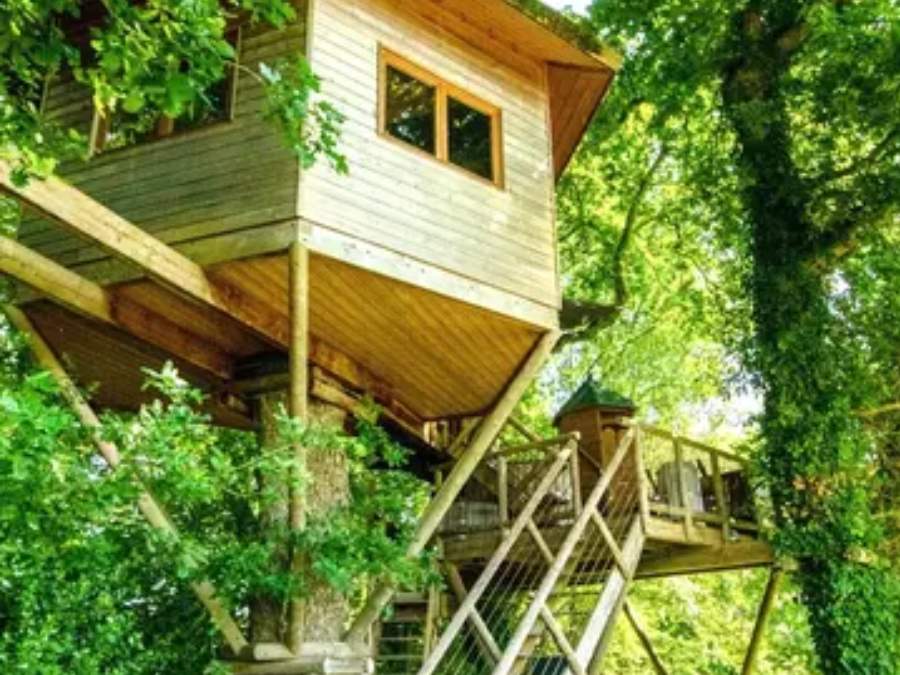 Photo d'une cabane avec SPA dans les arbres