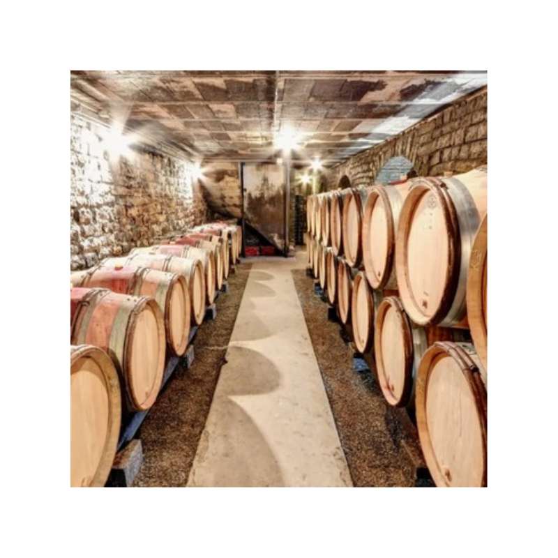 week end oenologie a beaune, image d'une cave à vin